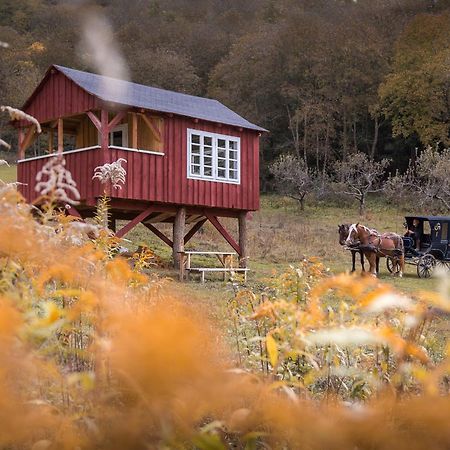 Valea Verde Retreat Transilvania Cund Экстерьер фото