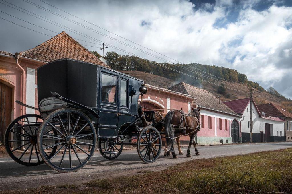 Valea Verde Retreat Transilvania Cund Экстерьер фото