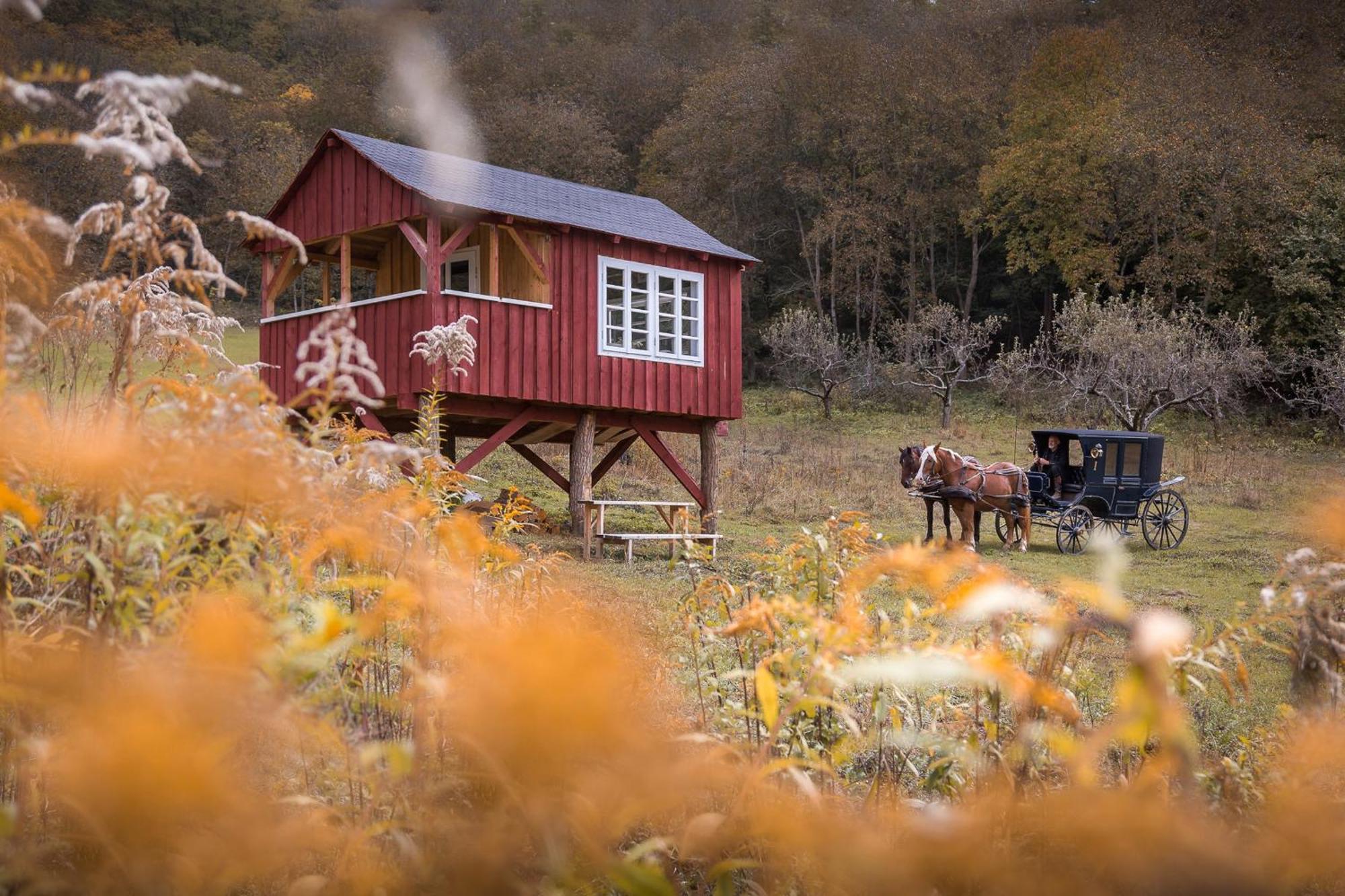 Valea Verde Retreat Transilvania Cund Экстерьер фото